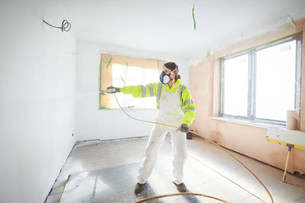 Best Ceiling Drywall Installation  in Union Park, FL